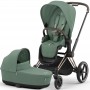 Cybex Priam 4.0 коляска 2 в 1 Leaf Green шасі Rosegold