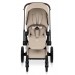 Cybex Priam Style Collection 5.0  коляска 2 в 1 Cozy Beige шасси Rosegold