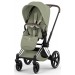 Коляска Cybex Priam Style Collection 5.0 Sage Green шасі Chrome 