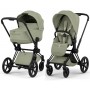 Cybex Priam Style Collection 5.0 stroller 2 in 1 Sage Green chassis Matt Black