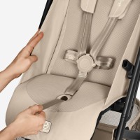 seat belts